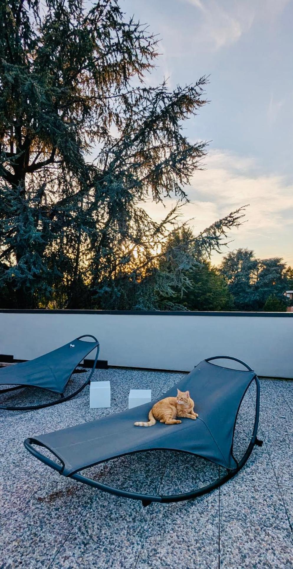 Bed and Breakfast The Luxory Cat à Milan Extérieur photo